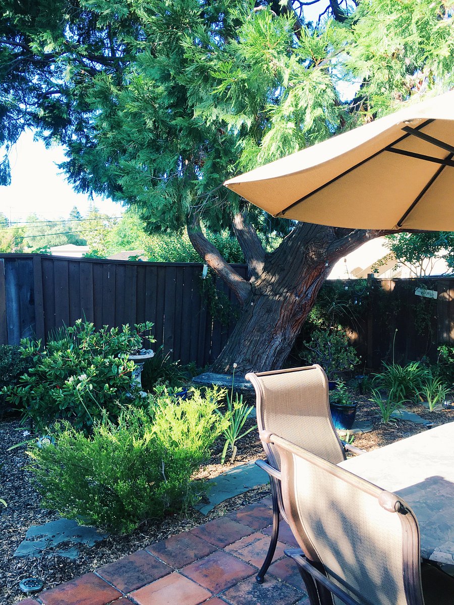 Furnished Finder property 988019_1 photo 7