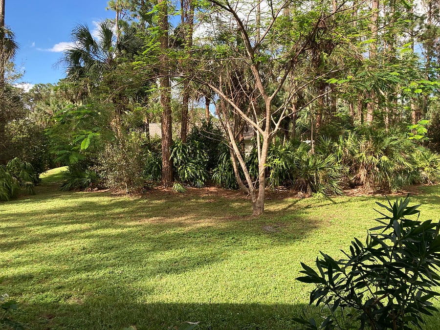 Furnished Finder property 988051_1 photo 8