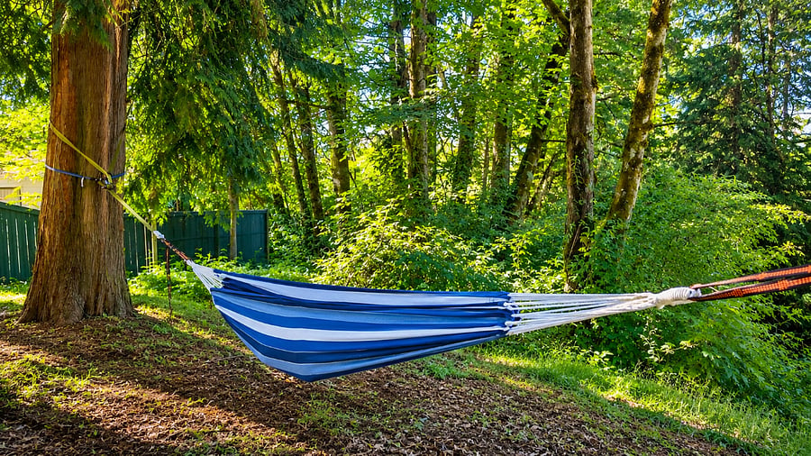 Furnished Finder property 988147_1 photo 13