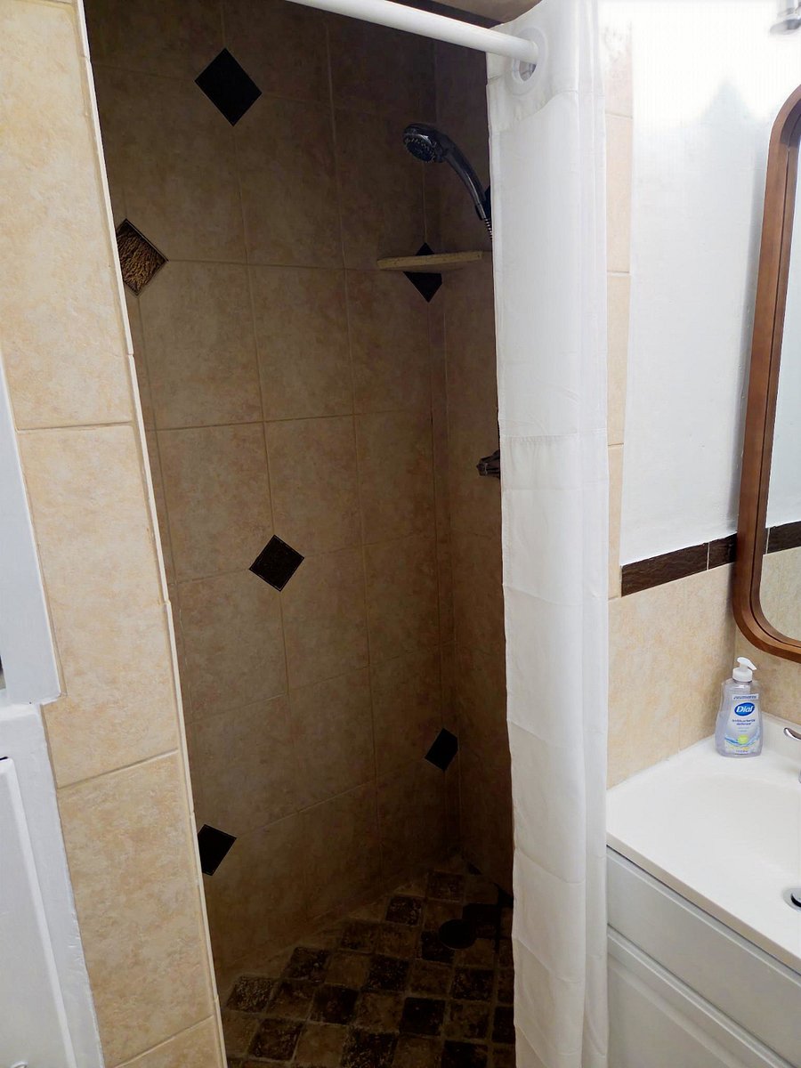 Primary Bath Walk-in Shower