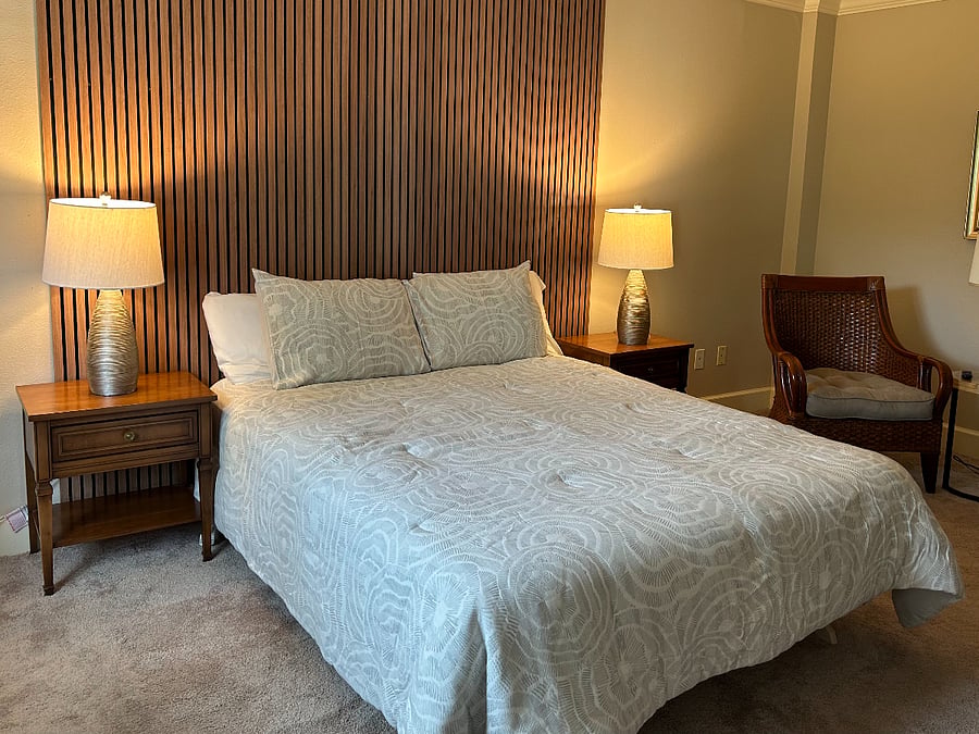 Master Bedroom with Large Closet and TV
