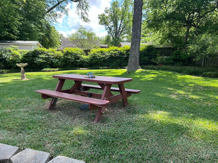 Backyard with Picnic table