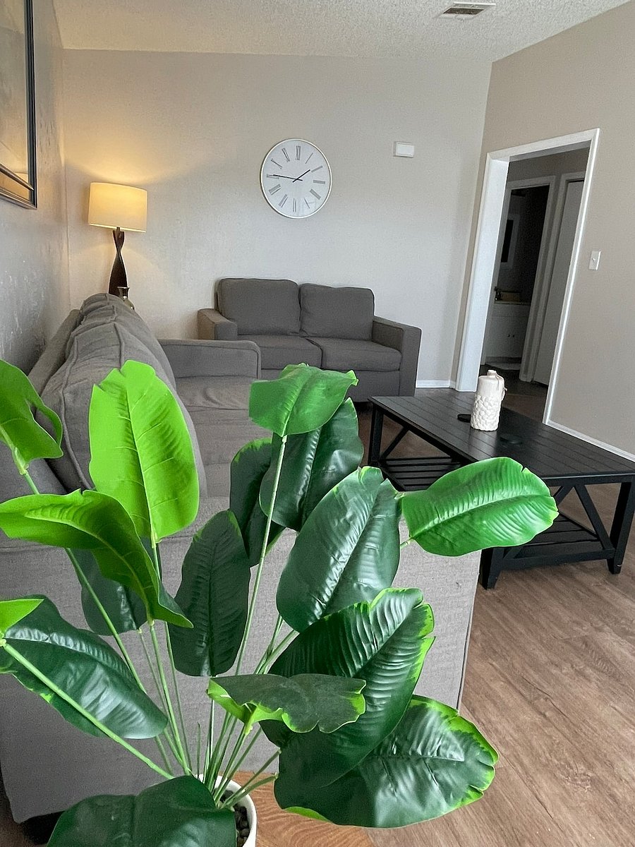 Furnished Finder property 988343_1 photo 6