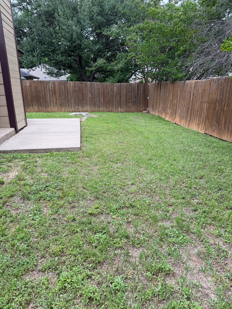 Furnished Finder property 988519_1 photo 10