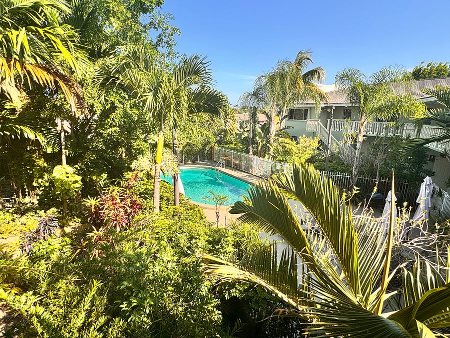 Garden and Pool