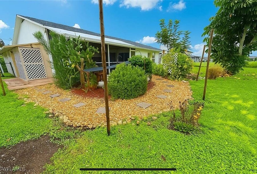 back yard