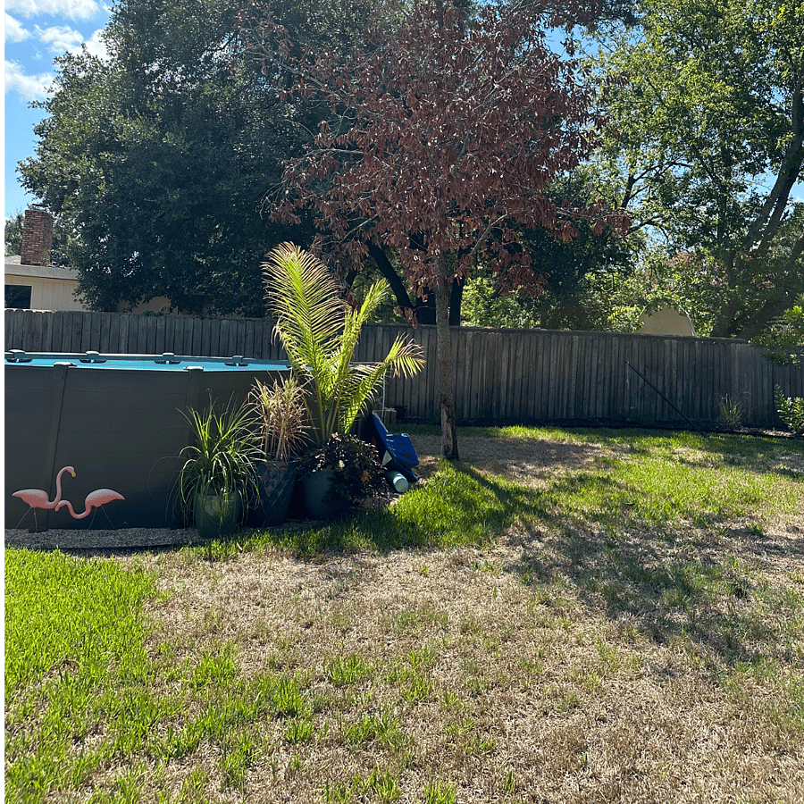15' pool is maintained by weekly service
