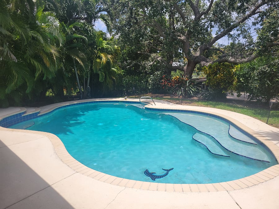 Impressive 35ft by 20ft swimming pool