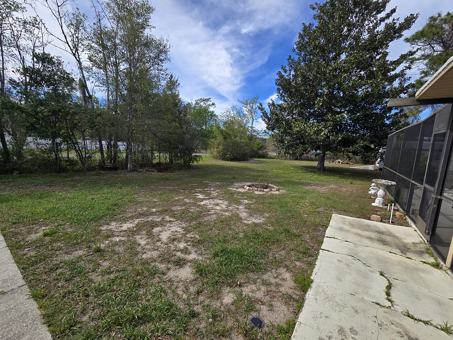 Backyard