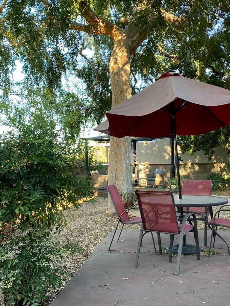 You will have nearly exclusive use of this yard when you're not sharing it with a little dog I occasionally take care of.
