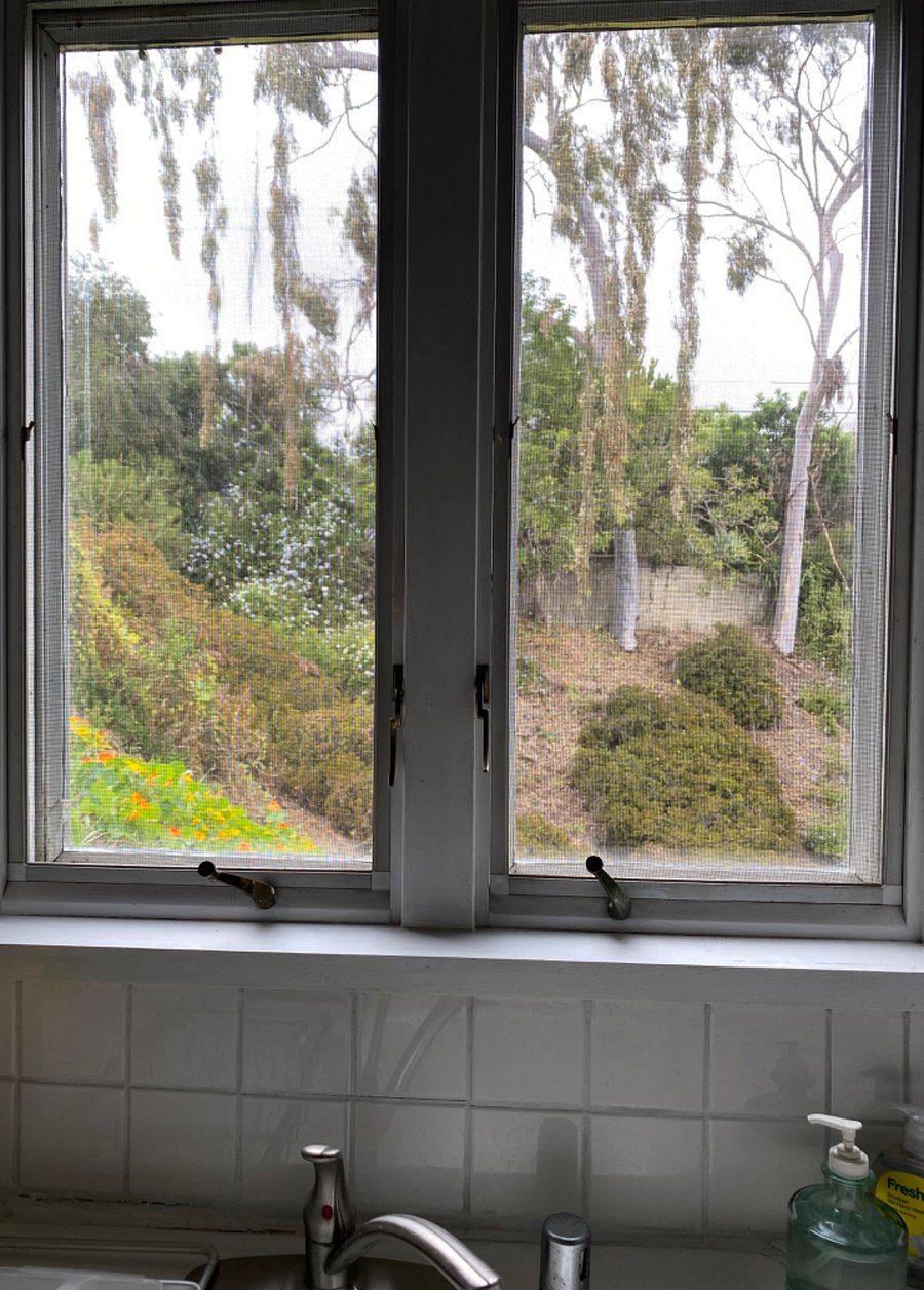 Canyon view from kitchen