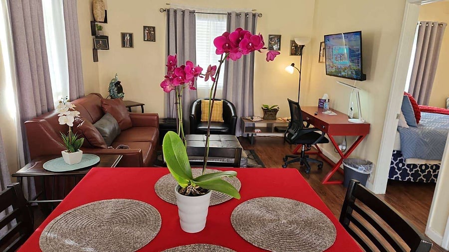 Furnished Finder property 989201_2 photo 14