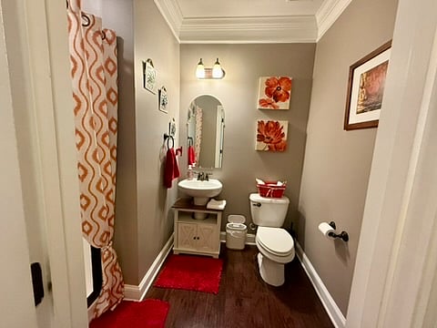 Bathroom 2 (downstairs)