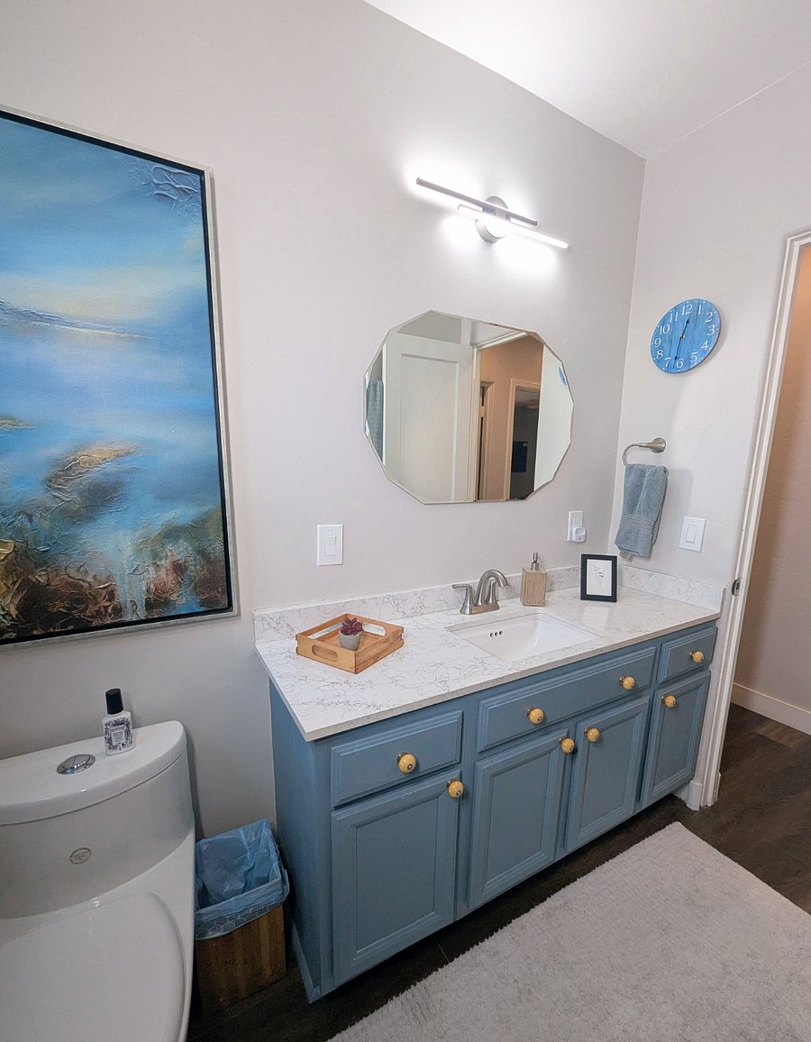 Guest bathroom 