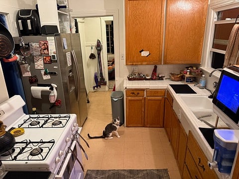 Kitchen (and cat)