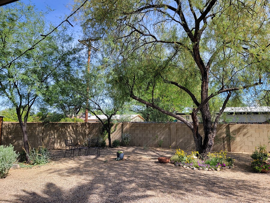 Large backyard with mature shade trees,