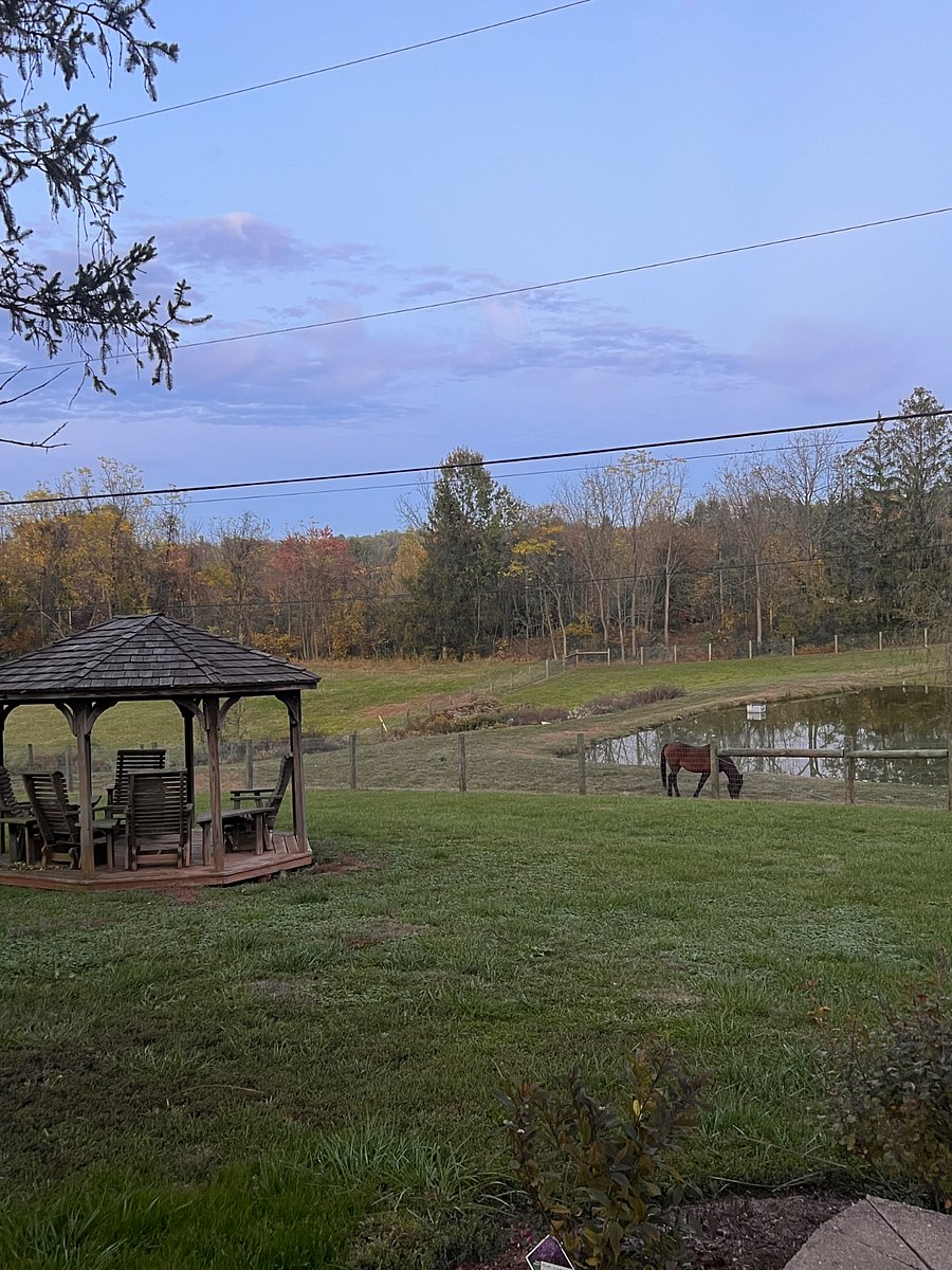 Gazebo and beautiful horse views
