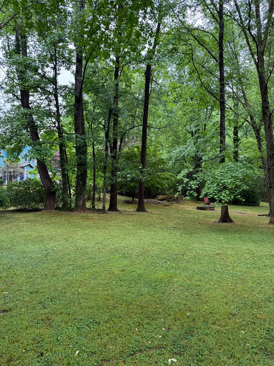 Furnished Finder property 989526_1 photo 47