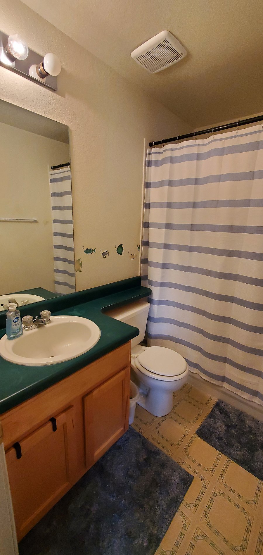 Furnished Finder property 989534_1 photo 3