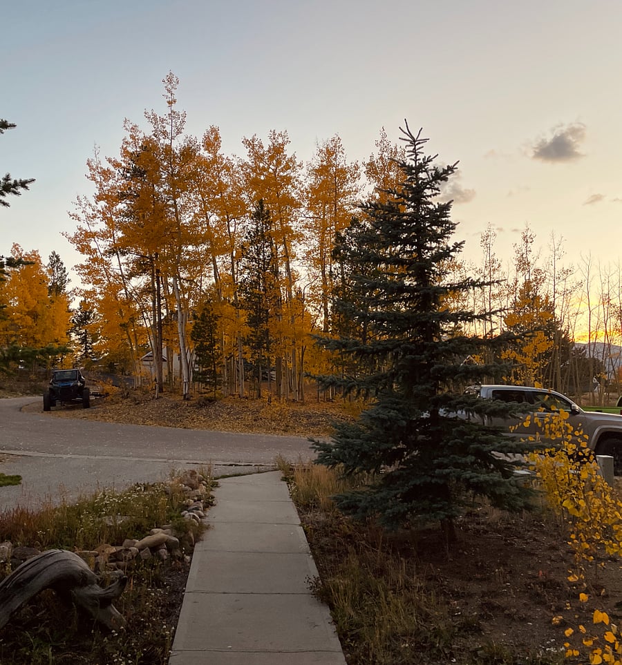 View from the front deck to the street in the fall with changing leaf color.