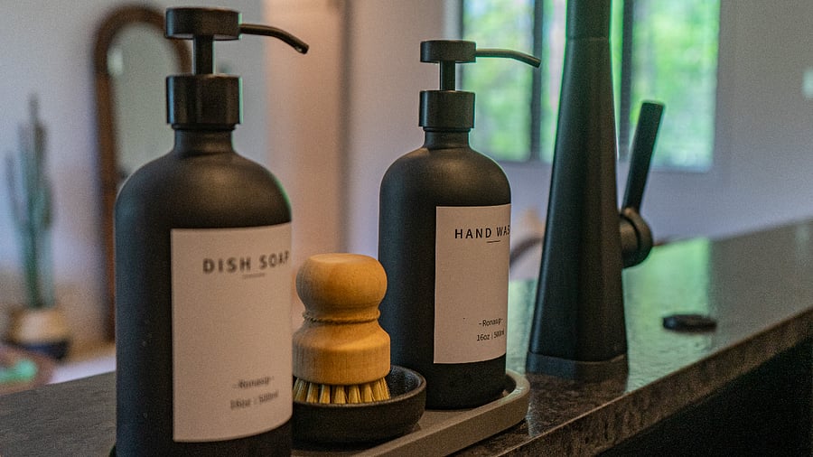 Kitchen Sink Area with Premium Soap Dispensers