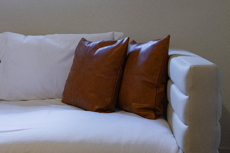 Plush Throw Pillows on Sofa