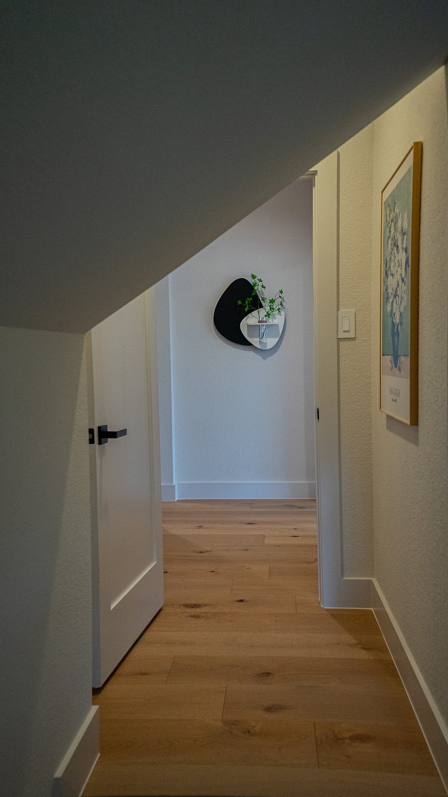 Bedroom Entrance with Mirror