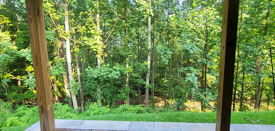 Furnished Finder property 990060_1 photo 5