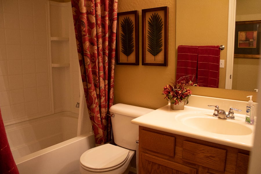 Hall Bath with Shower/Tub Combo