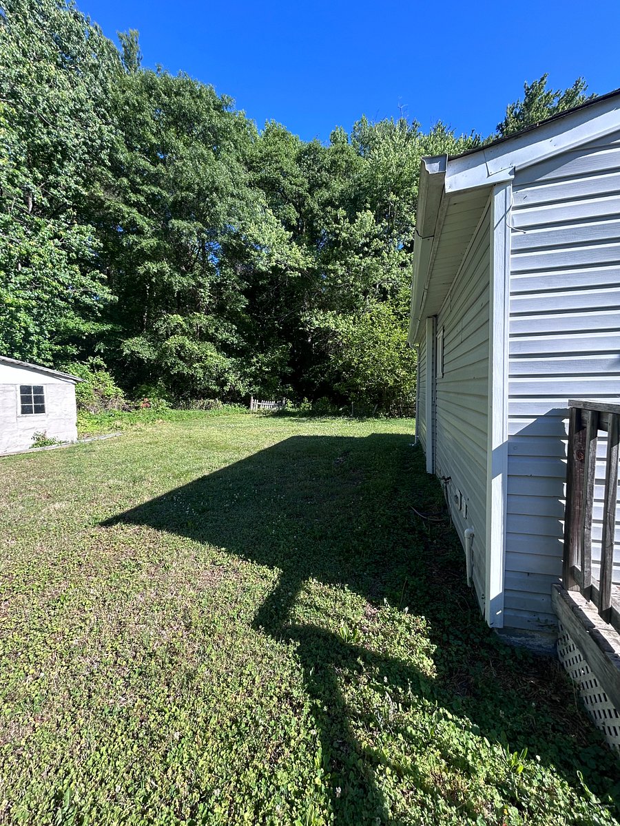 Large Backyard