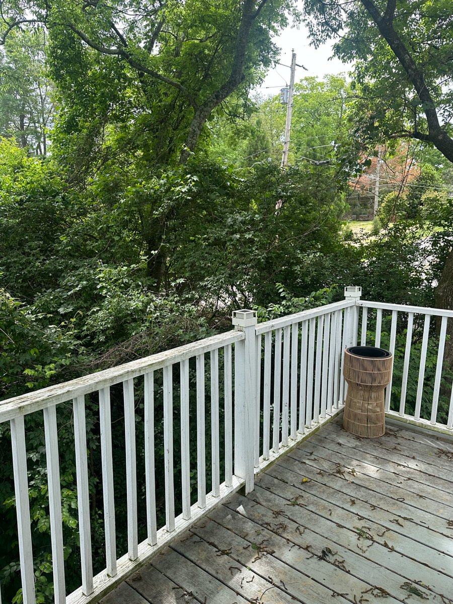 Furnished Finder property 990244_1 photo 17
