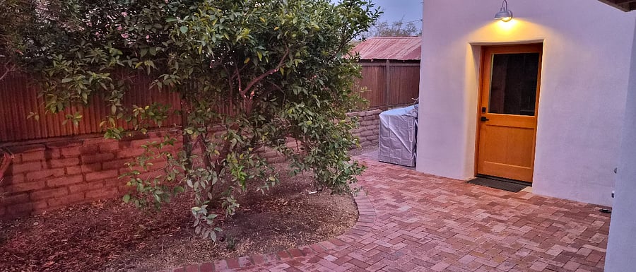 orange tree and front door