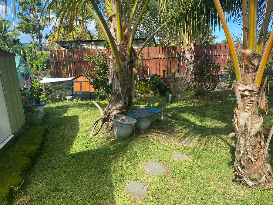 Furnished Finder property 990362_1 photo 9