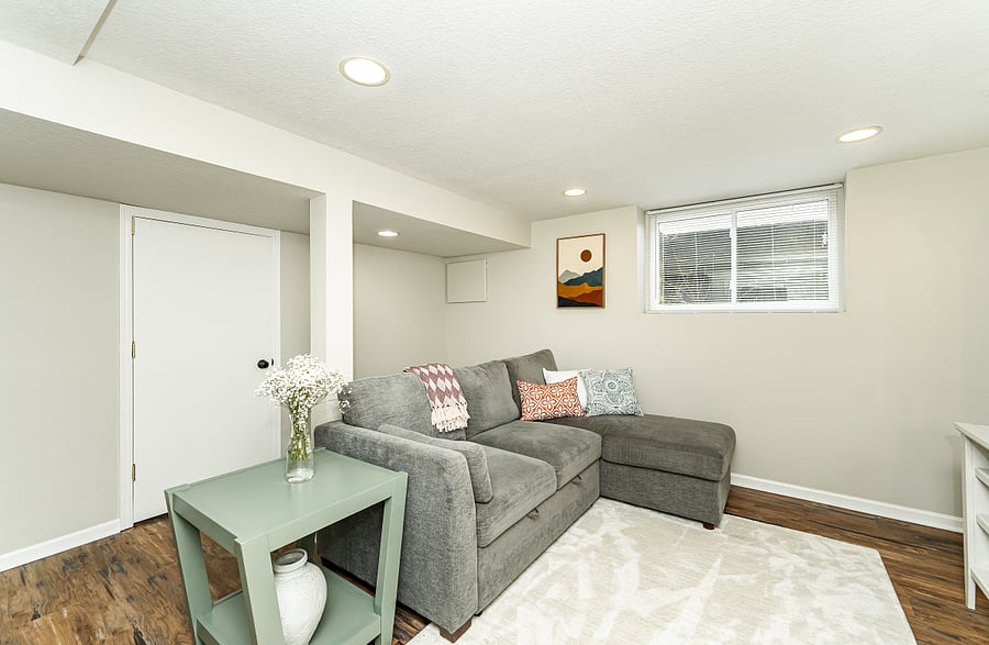 Living area- basement