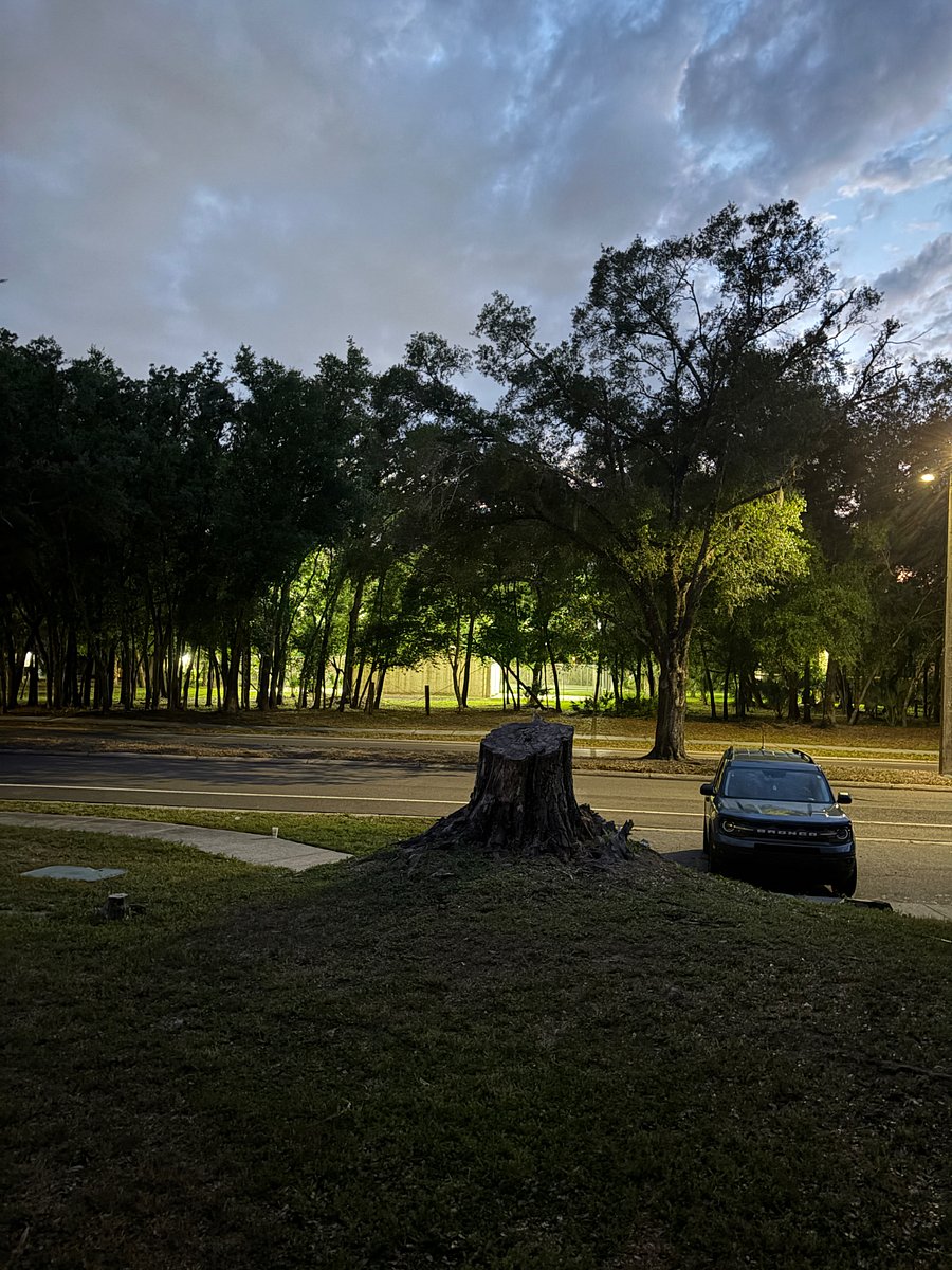 Furnished Finder property 990430_1 photo 4
