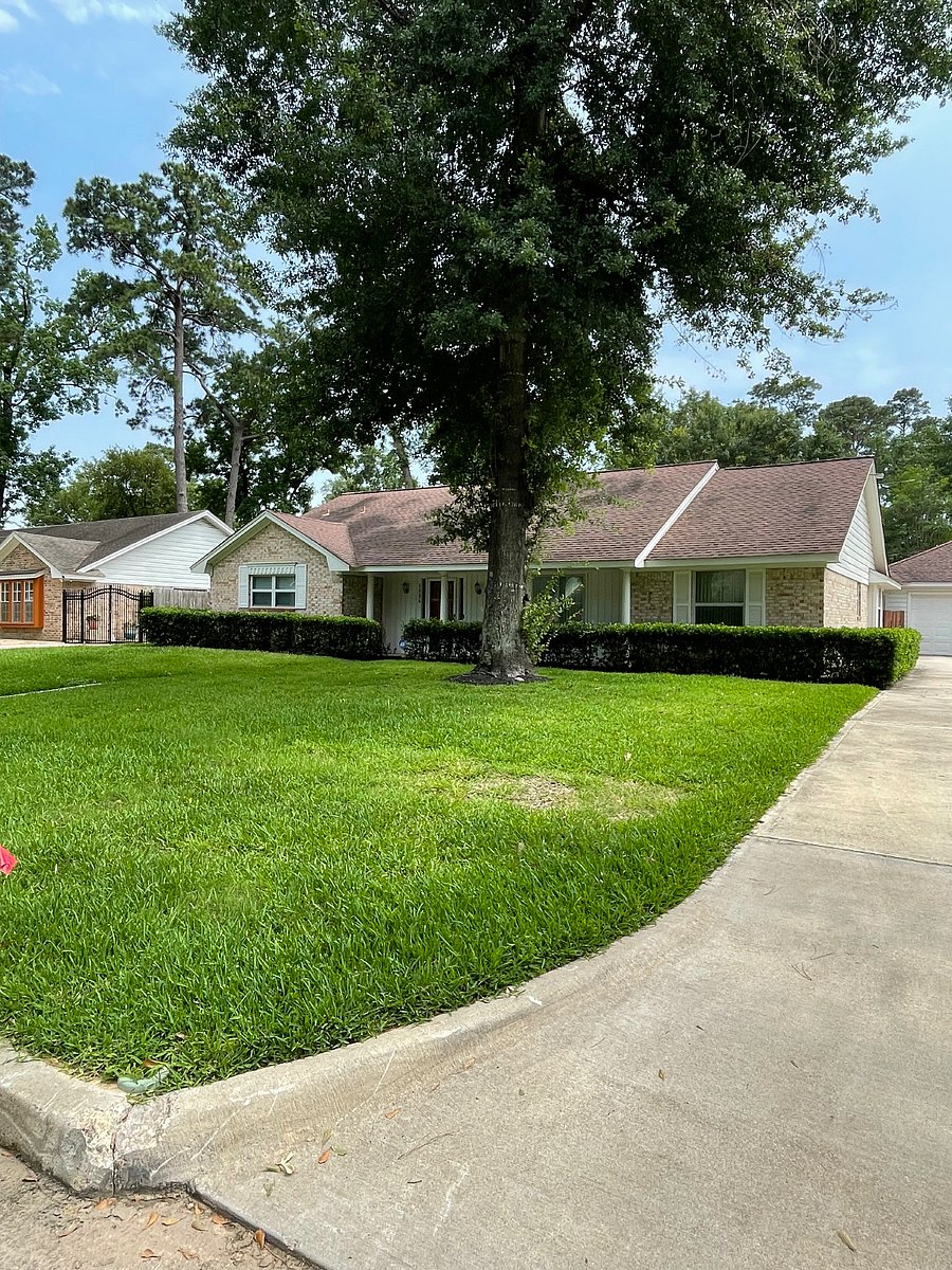 Furnished Finder property 990442_1 photo 16