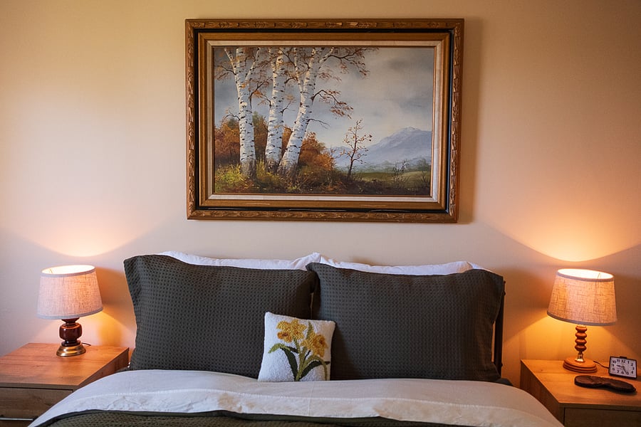 Gorgeous alpine artwork in the Aspen suite