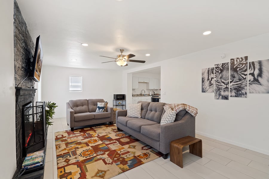 Extra large Den with Roku TV on wall and electric fireplace/heater