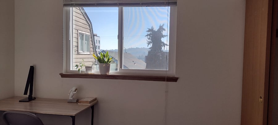 Room 3 (full size bed and south facing window)
