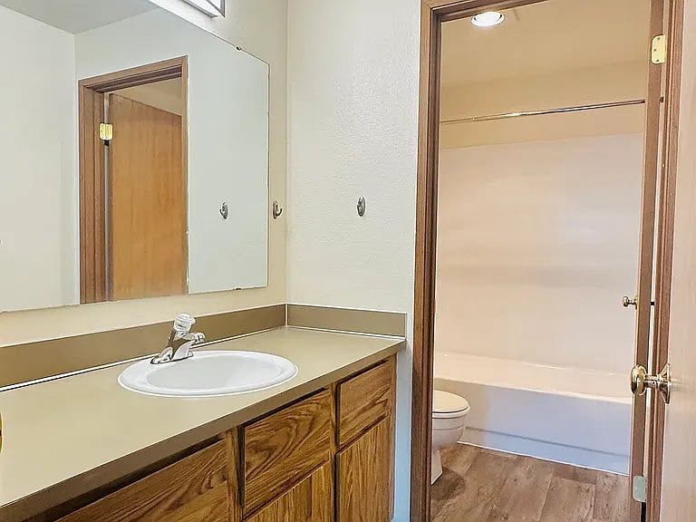 Bathroom (Seperated dry and wet spaces)