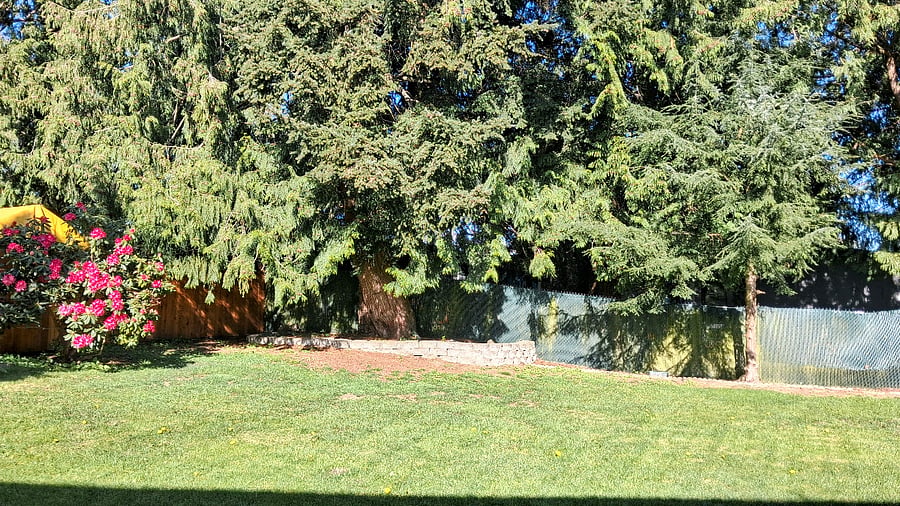 spacious backyard with mature trees and flowers