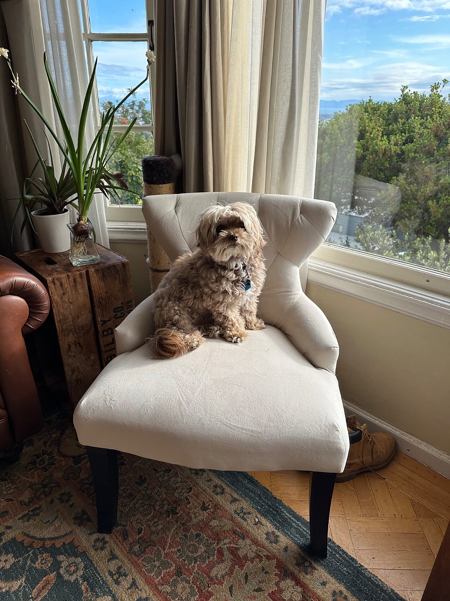 Toto is included.