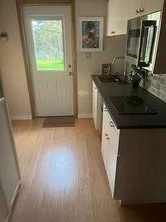 Galley kitchen which better shows 2 burner induction stove top