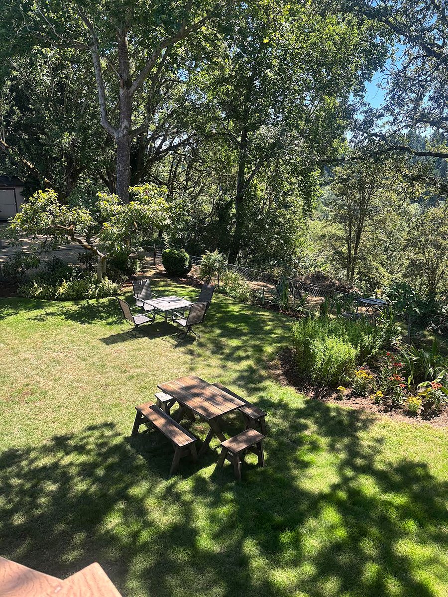 Tranquil backyard with garden furniture