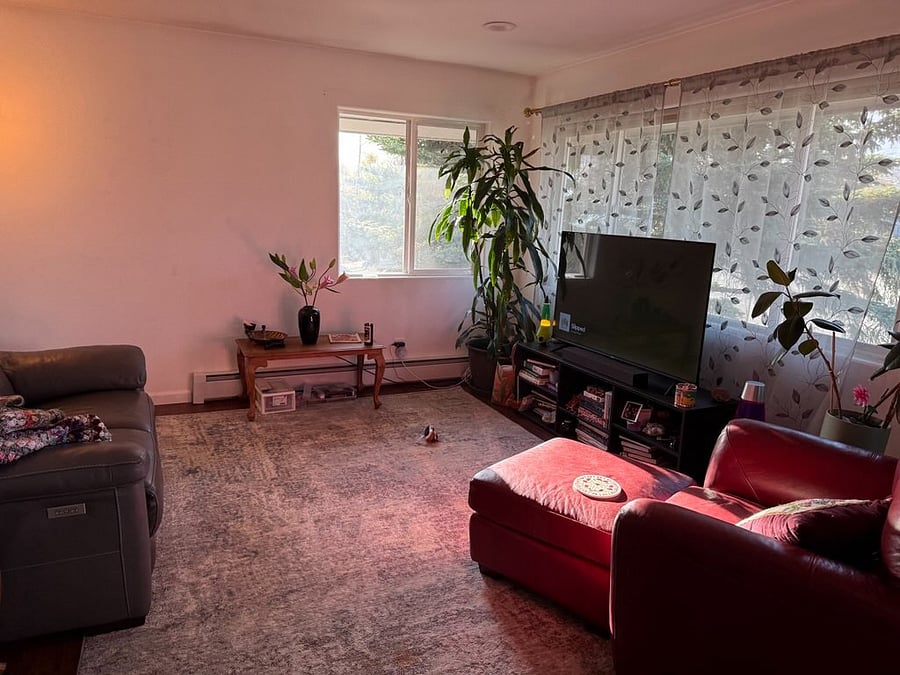Living room located on tenant side of the house. Includes smart TV, and lots and lots of natural lighting.