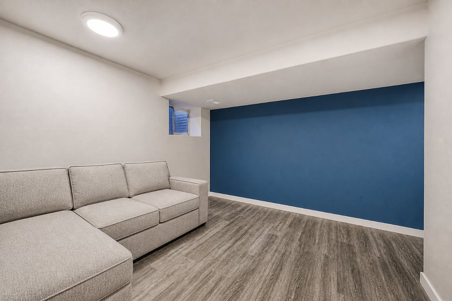 Basement living room