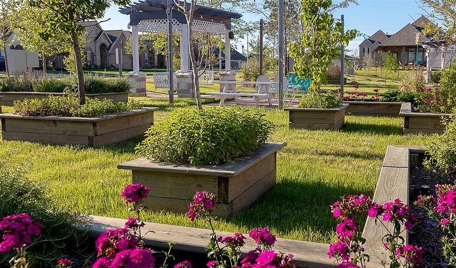 The community herb garden offers a charming space to gather fresh herbs and enjoy a simple connection to nature.