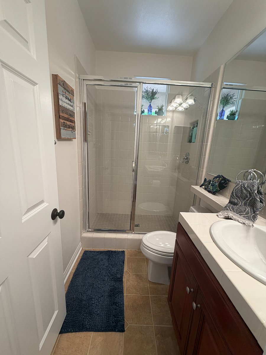 Lower level bathroom