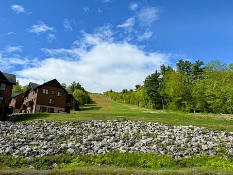View from deck