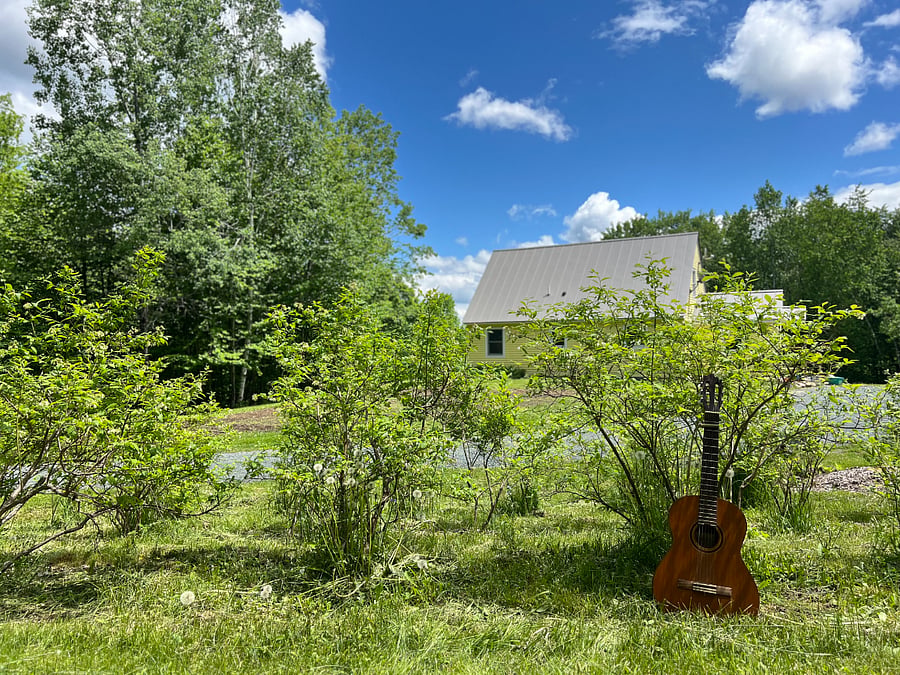A dozen or so blueberry bushes located in front of the house. Also shown is a classical guitar.